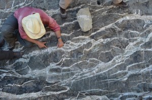 Rocks brought from earth's mantle react rapidly with carbon dioxide at the surface, producing these whitish veins.